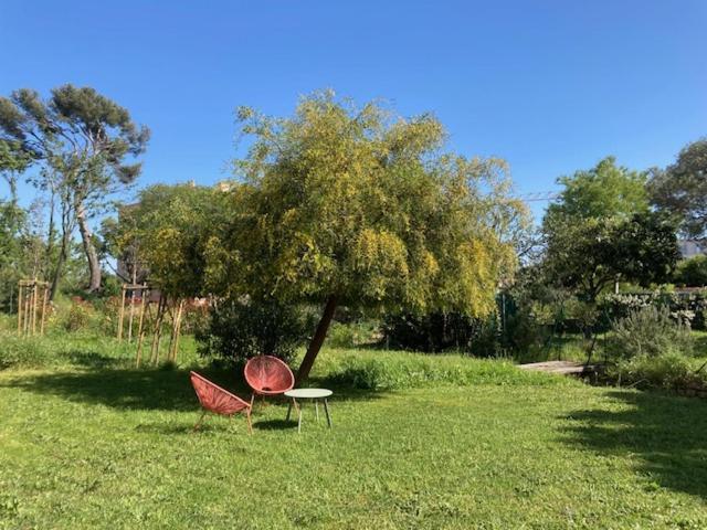 Un Jardin Dans La Ville La Ciotat Zewnętrze zdjęcie